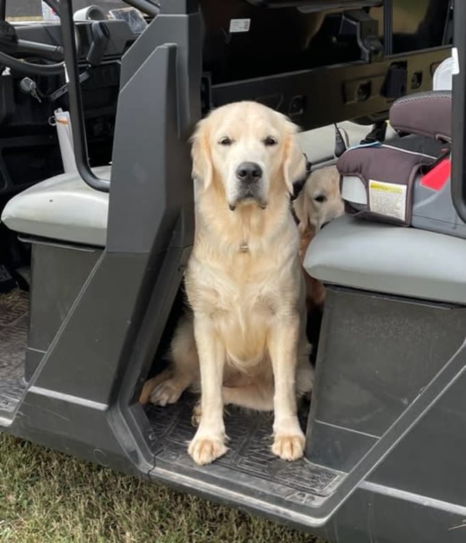 22f763da-0a76-4a30-abce-5a33cda35311