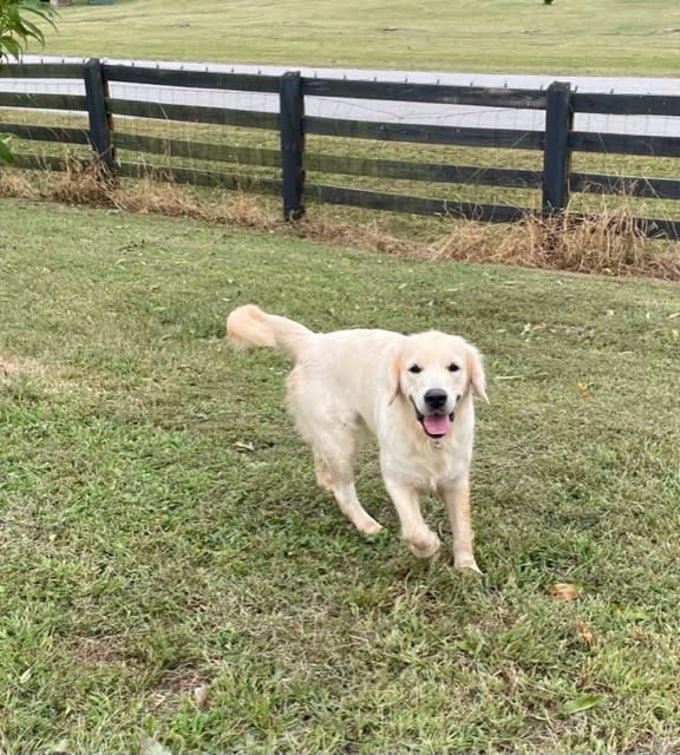 28bee761-9442-4116-b961-f82887009880