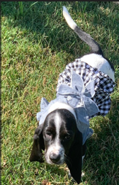 4C's June Carter Cash