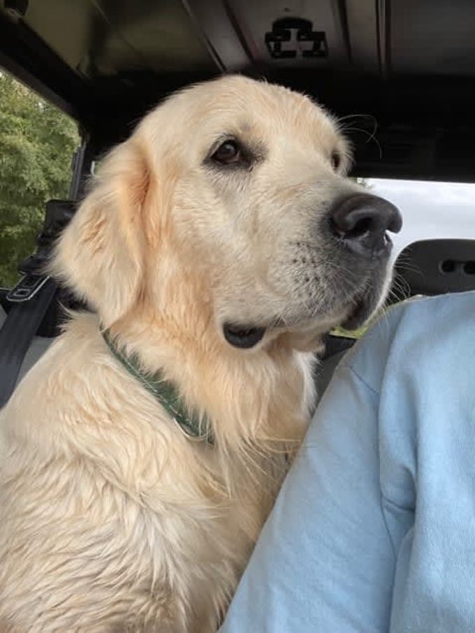 5905f16a-a4ad-4e8f-8c72-57a8a7e31ff3