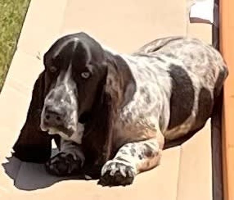 5d044bf4-3904-442b-8753-2f4828465387