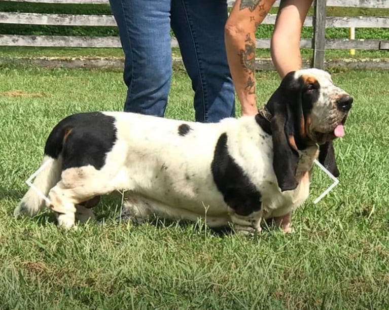 5e697c1dc7464f6a9e6a5f061bb40fb4