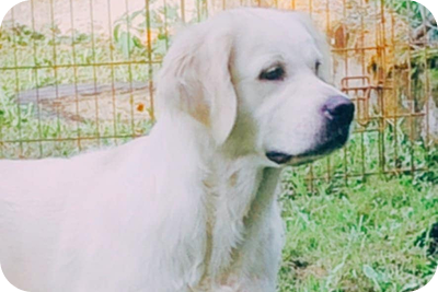 783e4010-40da-46ce-8625-bdafd0f167a5 2 (1)