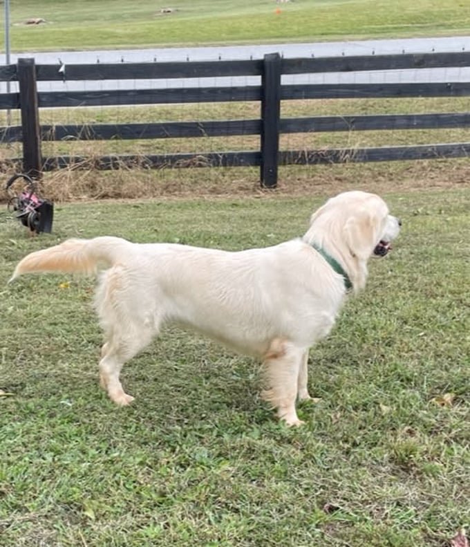 d7c38cde-fb79-4592-9cec-f6b4d587254b