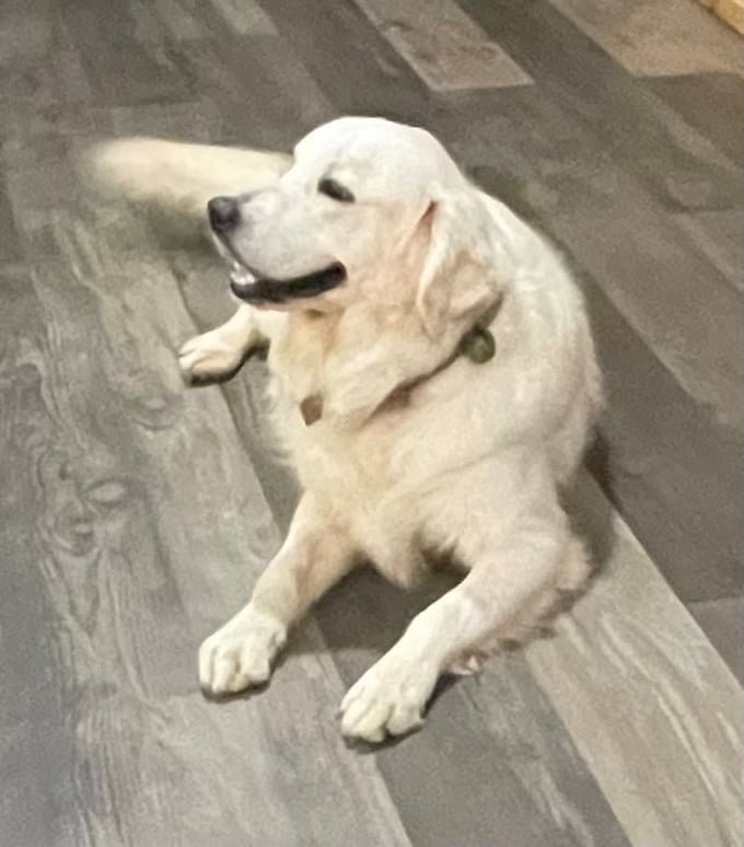 f7fc584a-1d2b-4d53-92b8-59bab781ab8c (1)