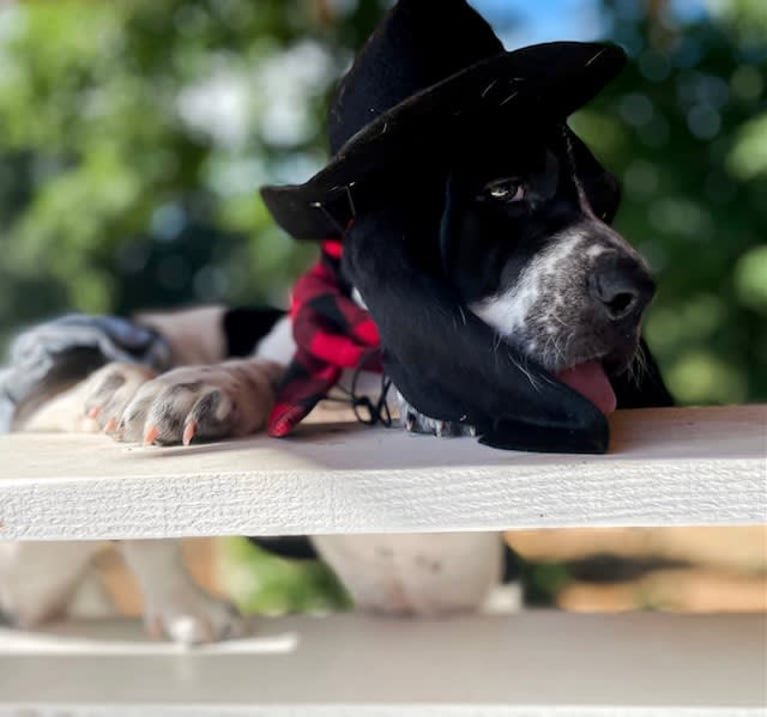 f97a8bdf-765d-4f88-9ee3-a0bc61322990